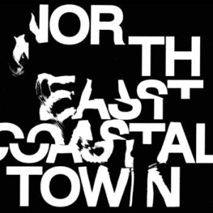 Life - North East Coastal Town in the group VINYL / Rock at Bengans Skivbutik AB (4143927)
