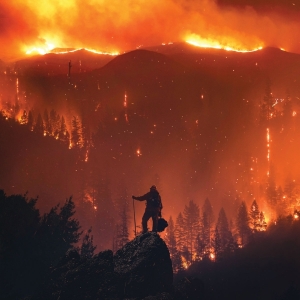 Terzij De Horde - In One Of These, I Am Your Enemy in the group CD / Hårdrock at Bengans Skivbutik AB (4144872)