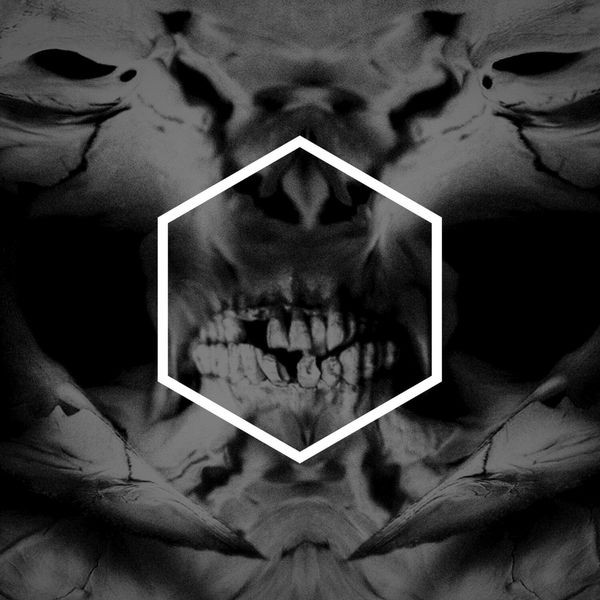 Lustmord - Other (2 Lp Vinyl) in the group VINYL / Pop at Bengans Skivbutik AB (4146198)