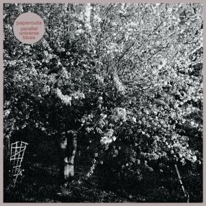 Papercuts - Parallel Universe Blues in the group VINYL / Pop-Rock at Bengans Skivbutik AB (4146691)
