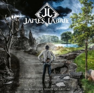 Labrie James - Beautiful Shade Of Grey in the group VINYL / Pop-Rock at Bengans Skivbutik AB (4147709)