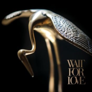 Pianos Become The Teeth - Wait For Love (Clear/Black Galaxy) in the group VINYL / Rock at Bengans Skivbutik AB (4150207)