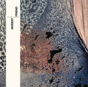 Modest - Friend in the group OTHER / Övrigt / at Bengans Skivbutik AB (4150695)