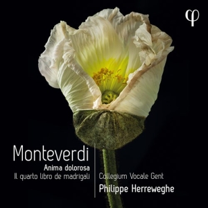 Monteverdi Claudio - Il Quarto Libro De Madrigali in the group Externt_Lager /  at Bengans Skivbutik AB (4151150)