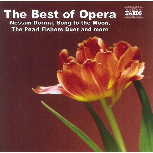 Various - The Best Of Opera in the group OTHER / / CDON Jazz klassiskt NX at Bengans Skivbutik AB (4151219)