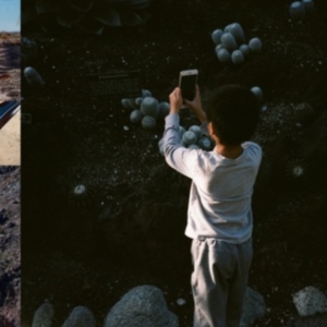 Mega Bog - Life, And Another in the group CD at Bengans Skivbutik AB (4152321)