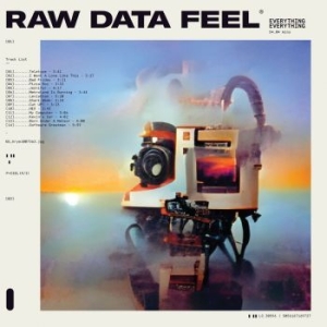 Everything Everything - Raw Data Feel (Clear) in the group VINYL / Pop at Bengans Skivbutik AB (4154326)