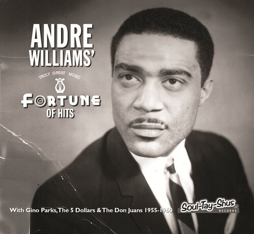 Andre Williams - Fortune Of Hits in the group CD / Pop at Bengans Skivbutik AB (4154372)