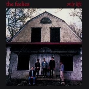 Feelies - Only Life in the group CD / Pop-Rock,Övrigt at Bengans Skivbutik AB (4154537)