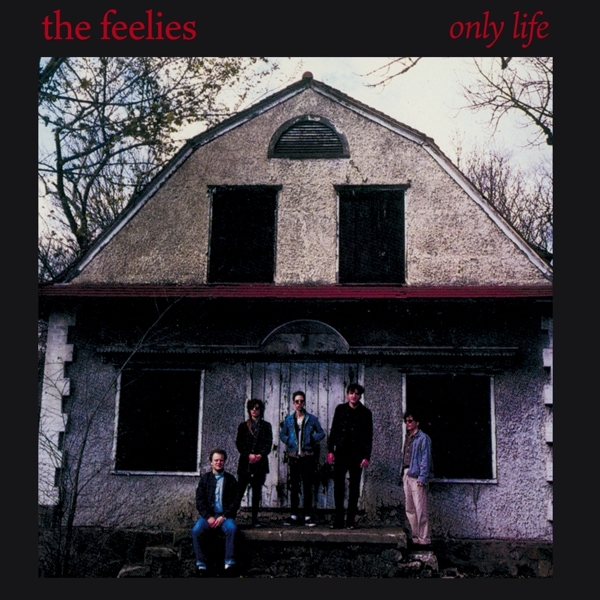 Feelies - Only Life in the group CD / Bestsellers at Bengans Skivbutik AB (4154537)