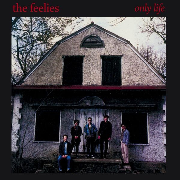 The Feelies - Only Life in the group CD / Pop-Rock at Bengans Skivbutik AB (4154537)
