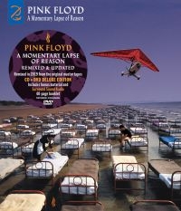 Pink Floyd - A Momentary Lapse Of Reason in the group CD / Pop-Rock at Bengans Skivbutik AB (4155686)