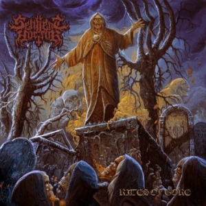 Sentient Horror - Rites Of Gore in the group CD / Hårdrock at Bengans Skivbutik AB (4156343)
