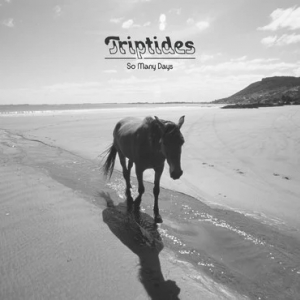 Triptides - So Many Days in the group VINYL / Pop-Rock at Bengans Skivbutik AB (4156564)
