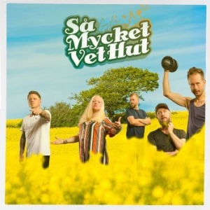 Vet Hut - Så Mycket Vet Hut (Gul Vinyl Lp + C in the group VINYL / Rock at Bengans Skivbutik AB (4157444)