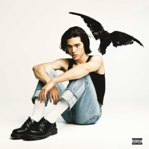 Gray Conan - Kid Krow in the group OTHER /  /  at Bengans Skivbutik AB (4157669)