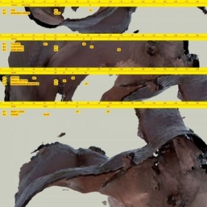 Awe Kid - Body Logic in the group VINYL / Pop-Rock at Bengans Skivbutik AB (4158632)