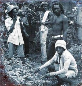 Knowledge - Straight And Narrow in the group CD / Reggae at Bengans Skivbutik AB (4158836)