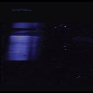 Thompson Chloe Alexandra - They Will Never Burn The Stars in the group VINYL / Pop-Rock at Bengans Skivbutik AB (4160664)