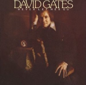 Gates David - Never Let Her Go in the group CD / Pop-Rock at Bengans Skivbutik AB (4160836)