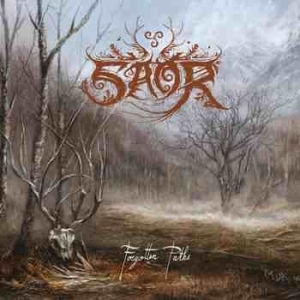 Saor - Forgotten Paths in the group VINYL / Hårdrock/ Heavy metal at Bengans Skivbutik AB (4161161)