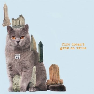 Brian Jonestown Massacre - Fire Dosen't Grow On Trees in the group CD / Pop-Rock at Bengans Skivbutik AB (4162350)