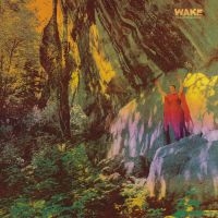 Wake - Thought Form Descent (Digipack) in the group CD / Hårdrock at Bengans Skivbutik AB (4162425)