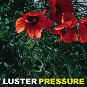 Luster - Pressure in the group VINYL / Dansk Musik,Pop-Rock at Bengans Skivbutik AB (4162848)