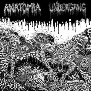 Undergang / Anatomia - Split Lp in the group VINYL / Rock at Bengans Skivbutik AB (4164533)