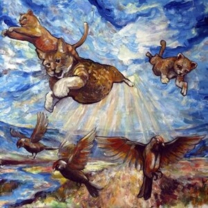 Have You Ever Seen The Jane Fonda A - Maine Coon in the group VINYL / Pop-Rock at Bengans Skivbutik AB (4164541)