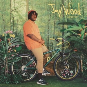 Jaywood - Slingshot (Canary Yellow Vinyl) in the group VINYL / Rock at Bengans Skivbutik AB (4167471)