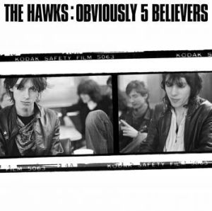 Hawks - Obviously 5 Believers in the group CD / Pop-Rock at Bengans Skivbutik AB (4168847)