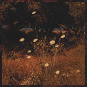 Szun Waves - Earth Patterns in the group OTHER / Övrigt /  at Bengans Skivbutik AB (4169048)