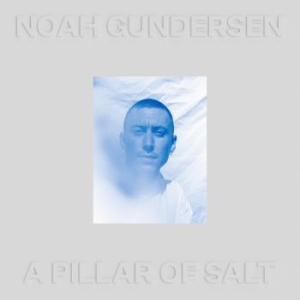Noah Gundersen - A Pillar Of Salt (White Vinyl) in the group VINYL / Rock at Bengans Skivbutik AB (4169181)