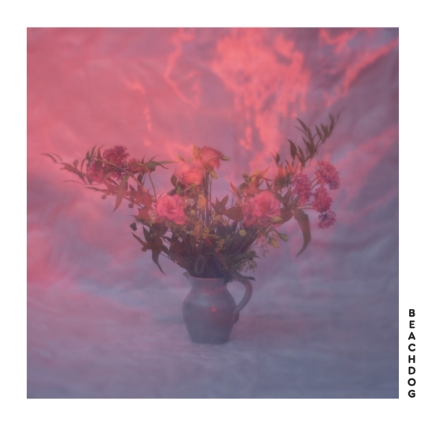 Beachdog - Beachdog in the group VINYL / Bestsellers at Bengans Skivbutik AB (4169641)