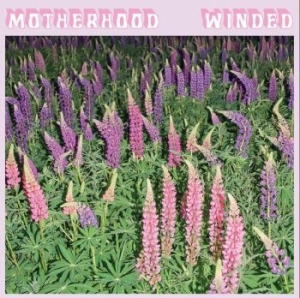 Morterhood - Winded in the group CD / Pop-Rock at Bengans Skivbutik AB (4170584)