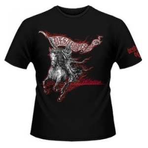 Destroyer 666 - T/S Wildfire (Xl) in the group OTHER / BW-T-shirts at Bengans Skivbutik AB (4170706)
