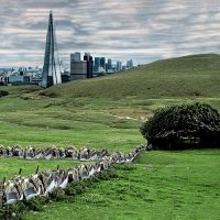 Famous - The Valley/England Ep in the group VINYL / Pop-Rock at Bengans Skivbutik AB (4172080)