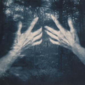 Santos Silva Susana - All The Birds And A Telephone Ringi in the group CD / Pop-Rock at Bengans Skivbutik AB (4172471)