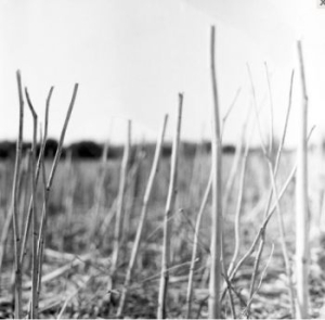 Recondite - On Acid (2022) in the group VINYL / Dance-Techno at Bengans Skivbutik AB (4174014)