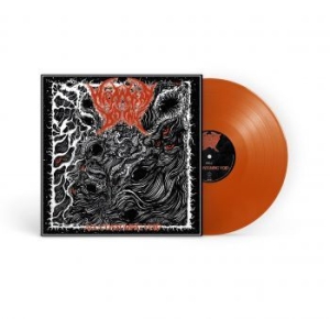 Wayward Dawn - All-Consuming Void (Orange Vinyl Lp in the group VINYL / Dansk Musik,Hårdrock at Bengans Skivbutik AB (4176038)