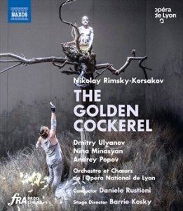 Rimsky-Korsakov Nikolay - The Golden Cockerel (Bluray) in the group Externt_Lager /  at Bengans Skivbutik AB (4177146)