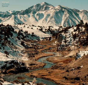 Sheff Will - Nothing Special (Col.Vinyl) in the group VINYL / Pop-Rock at Bengans Skivbutik AB (4177699)