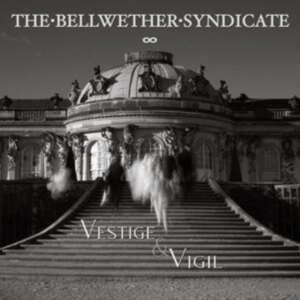 Bellwether Syndicate - Vestige & Vigil in the group VINYL / Pop-Rock at Bengans Skivbutik AB (4177707)