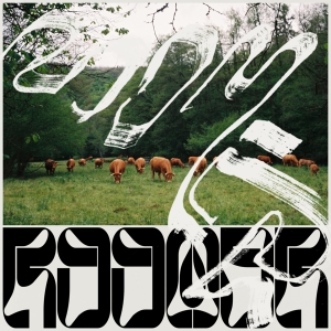 Roomer - Skice in the group VINYL / Pop-Rock at Bengans Skivbutik AB (4178712)