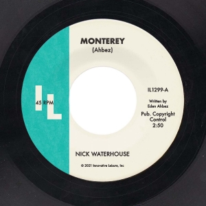 Waterhouse Nick - Monterey B/W Straight Love Affair in the group VINYL / Pop-Rock at Bengans Skivbutik AB (4179496)