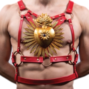 Paisley Fields - Limp Wrist (Red Vinyl) in the group VINYL / Country,Pop-Rock at Bengans Skivbutik AB (4179580)