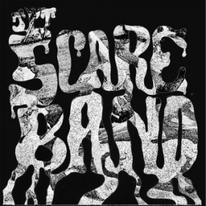 Jpt Scare Band - Acid Acetate Excursion / Rape Of Th in the group VINYL / Rock at Bengans Skivbutik AB (4179642)