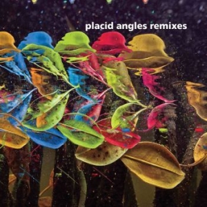 Placid Angles - Touch The Earth Remixes in the group VINYL / Dance-Techno at Bengans Skivbutik AB (4179704)