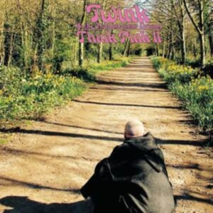 Twink - Think Pink 2 in the group OTHER / Övrigt /  at Bengans Skivbutik AB (4179958)